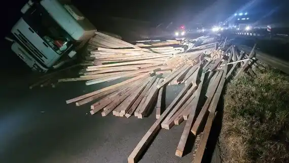 Vuelco de un camión con maderas en ruta 12