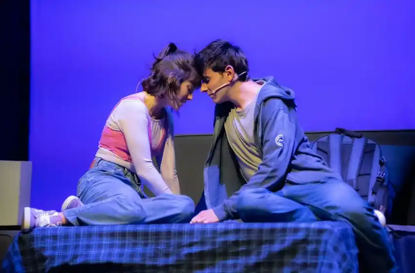 Realizarán audiciones para protagonizar la obra “Querido Evan”