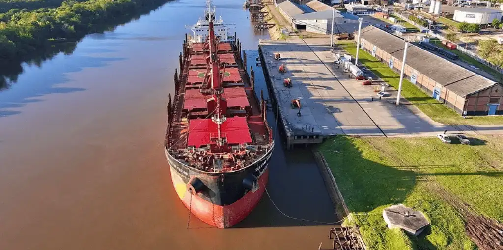 Las exportaciones agroindustriales marcaron un récord histórico entre enero y agosto