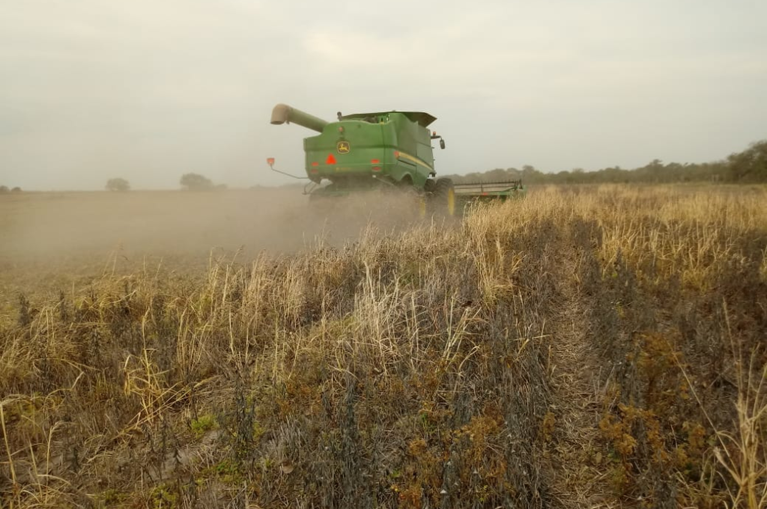 El sector agrícola necesita importar alrededor de 3000 millones de dólares en fitosanitarios y aproximadamente 2400 millones de dólares en fertilizantes.