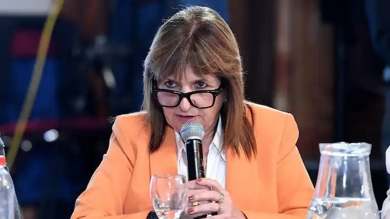 Las declaraciones se sumaron a otras voces que, dentro del debate parlamentario, promueven endurecer el régimen penal juvenil como parte de una política integral de seguridad.
