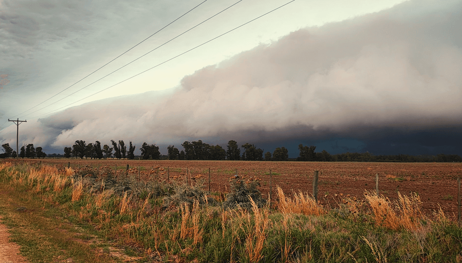 Se esperan ráfagas de viento y altos valores de precipitación acumulada.