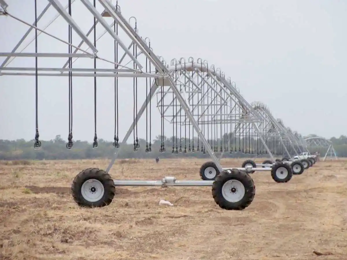 El Cedeva Laguna Yema celebra 25 años de presencia en el Centro Oeste formoseño