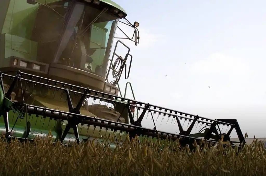 La cosecha de soja fue de casi 50 millones de toneladas y cayó 10% anual