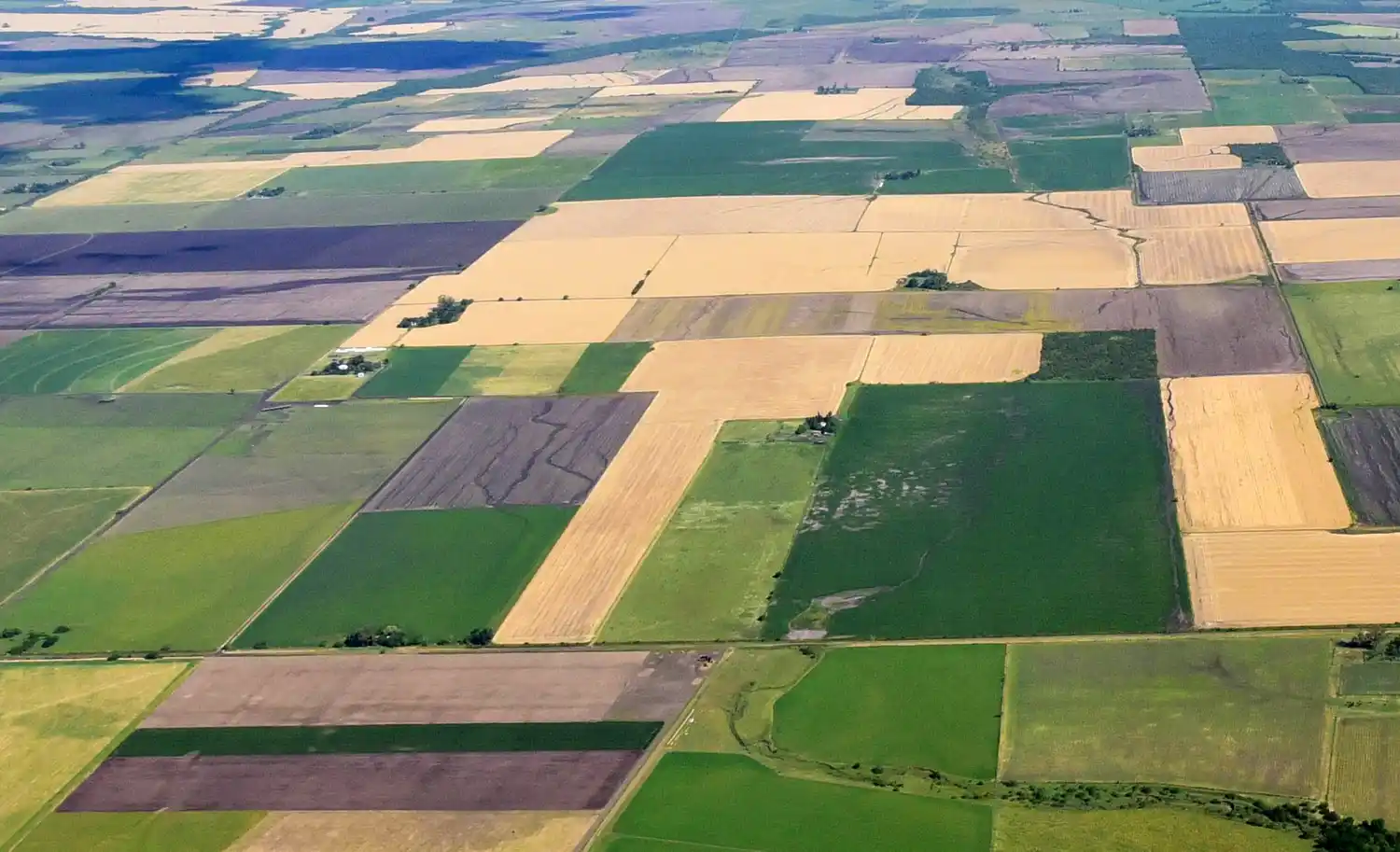 El Gobierno impulsa la regulación de los loteos en áreas rurales