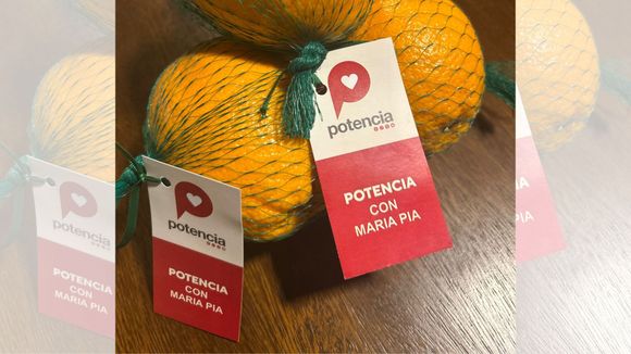 Elecciones 2025: la UCR usará la naranja símbolo de su campaña