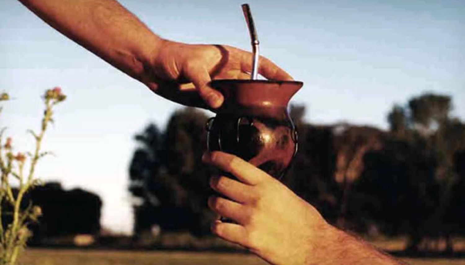 Covid-19: Crece la hipótesis de contagios por el mate y cae la teoría del gimnasio