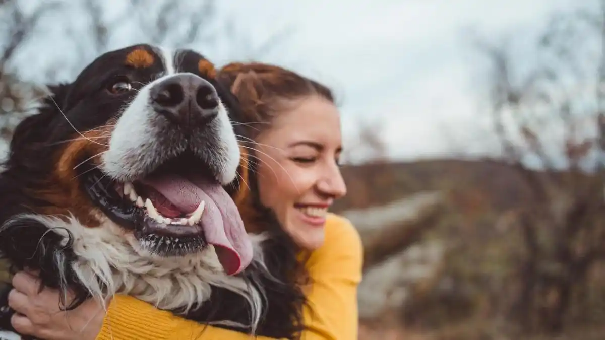 Los animales pueden aliviar la ansiedad, el estrés y la soledad: ¿cómo lo hacen?