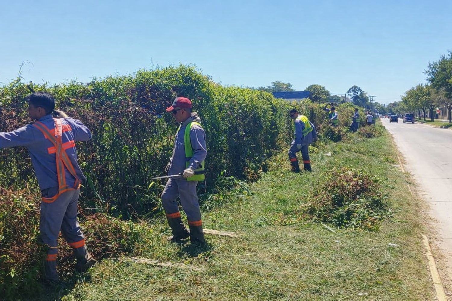 Tras reclamo de vecinos realizan tareas de mantenimiento en calle Luis Maggi