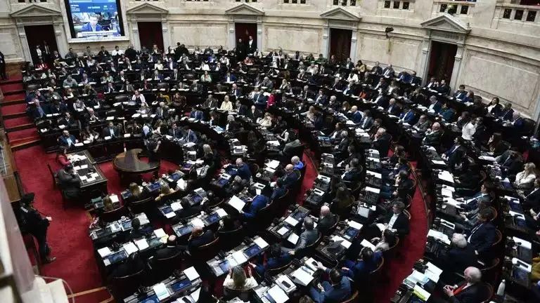 Diputados en el Congreso por la Ley Bases.
