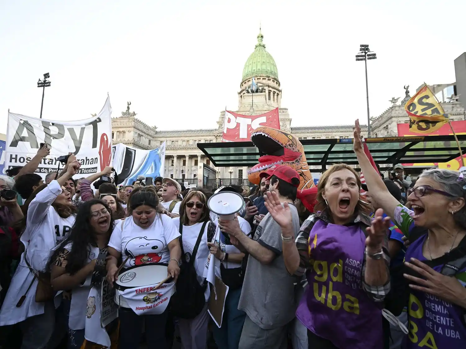El Senado rechazó los vetos a la emergencia en pediatría y al financiamiento universitario