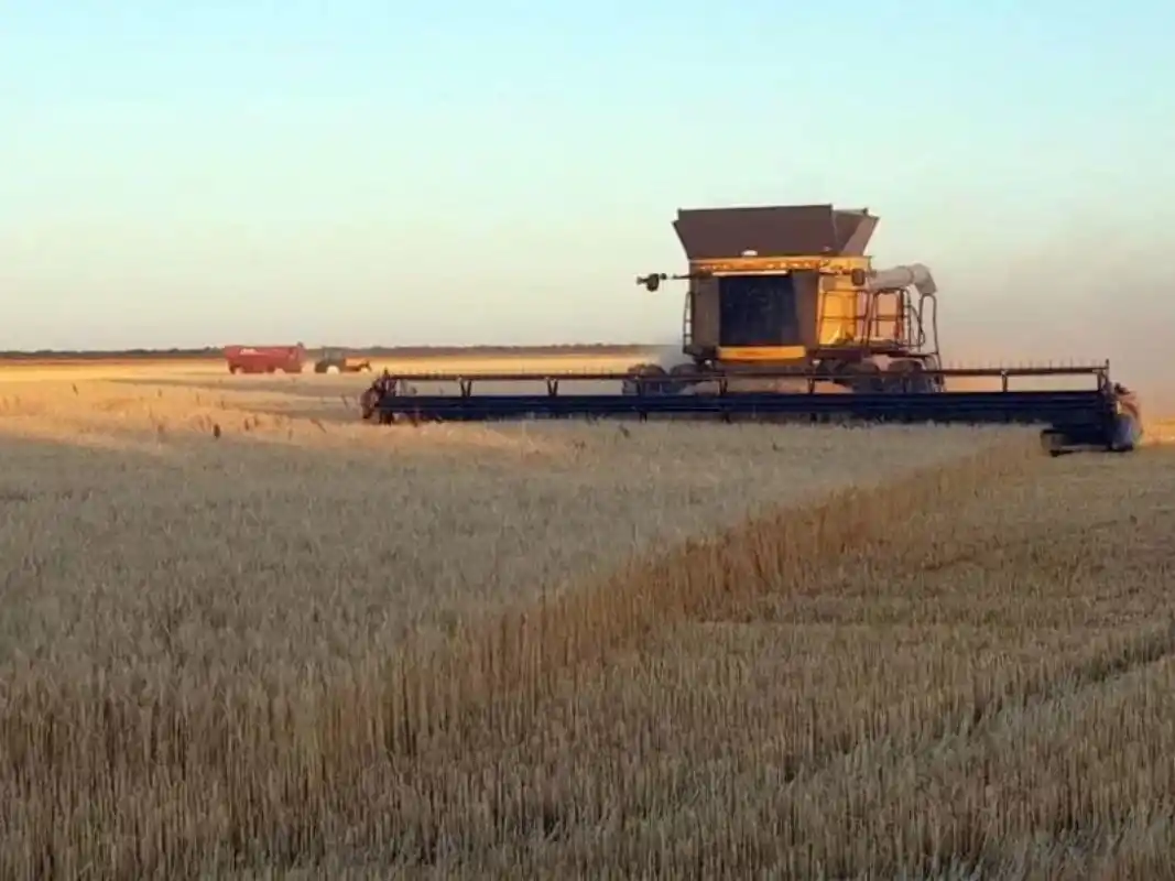 La producción agrícola fue uno de los motores de la recuperación.
