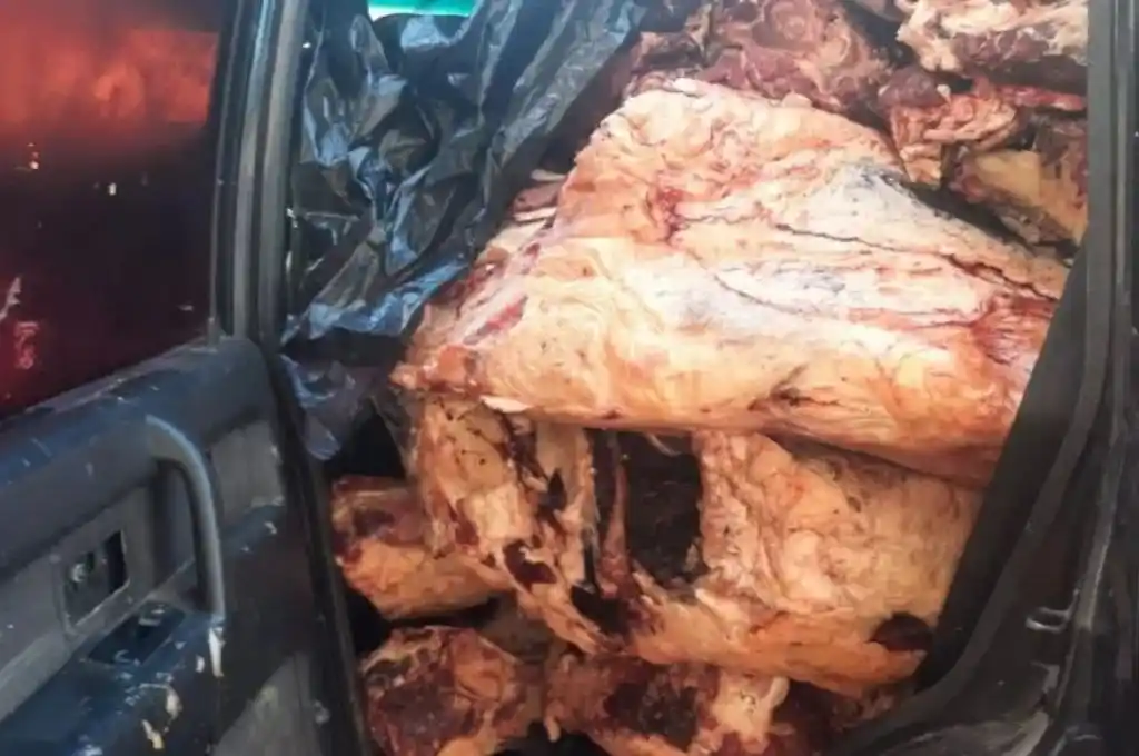 Detienen camioneta con 2 toneladas de carne en el cruce Puerto Falcón-Clorinda