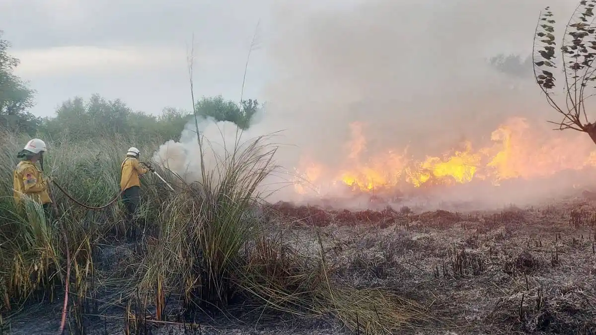 Un incendio de grandes dimensiones consumió varias hectáreas en el INTA Concordia