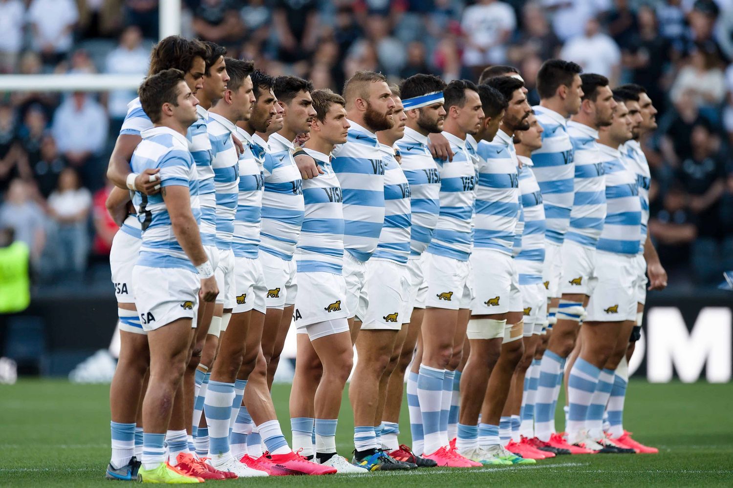 Los Pumas se enfrentan a los All Blacks en busca de la histórica final en el Mundial