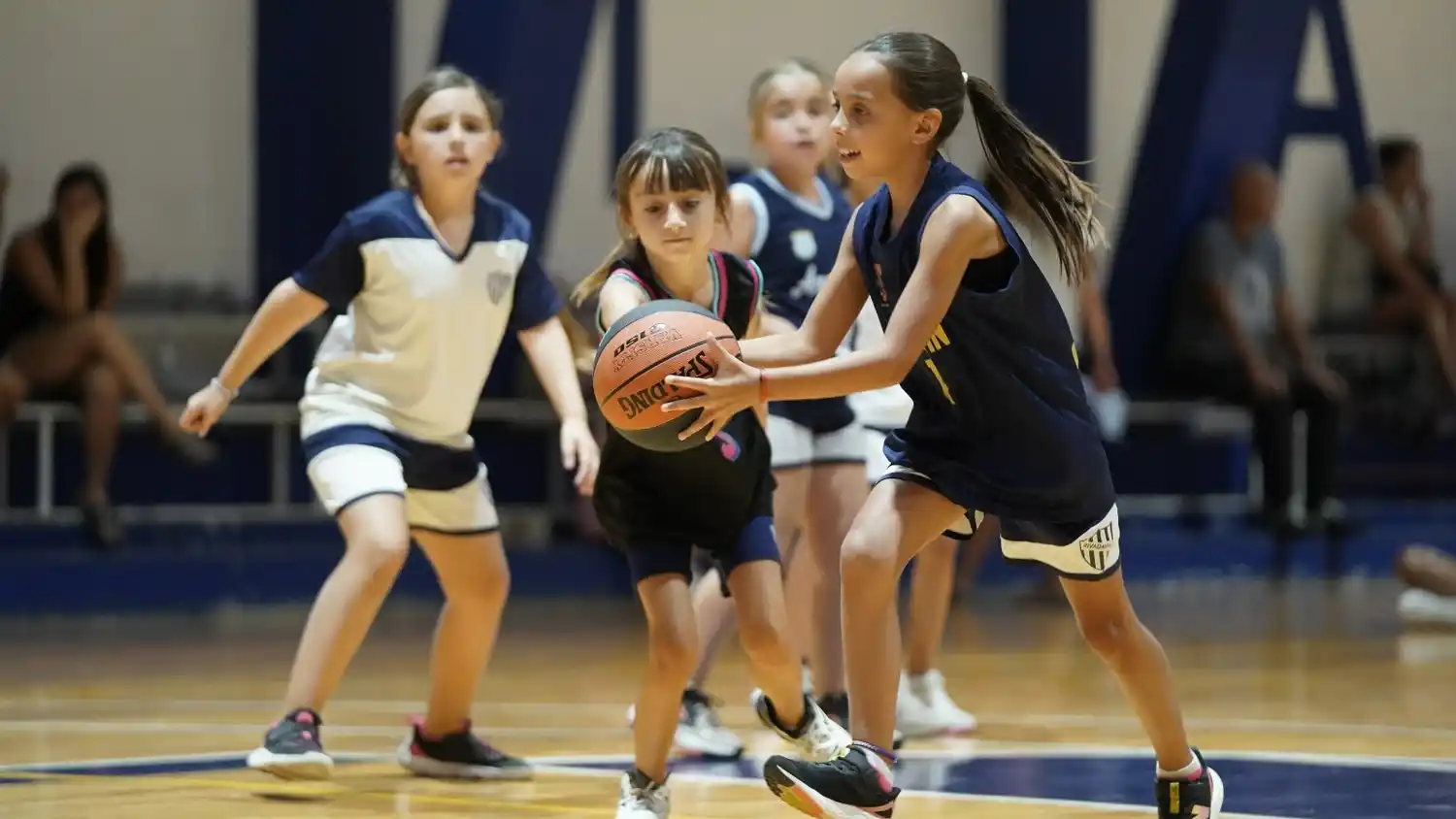 "Hasta que cante el gallo" - Piso de los deportes (Básquet)