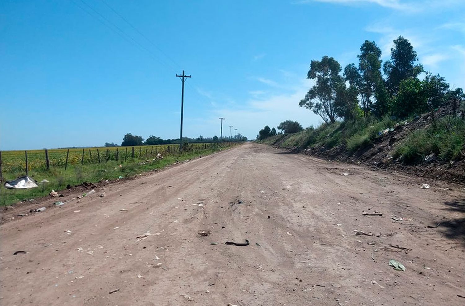 El municipio continúa limpiando microbasurales generados por "vecinos desaprensivos"