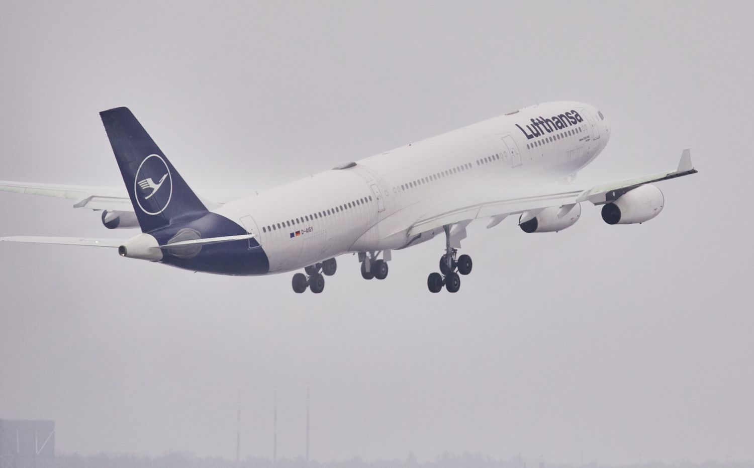 Afganistán: Lufthansa se suma al puente aéreo desde Qatar y Uzbekistán