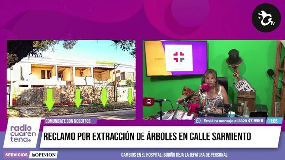Reclamo: “No hay manera de hacer una denuncia en defensa de los árboles”