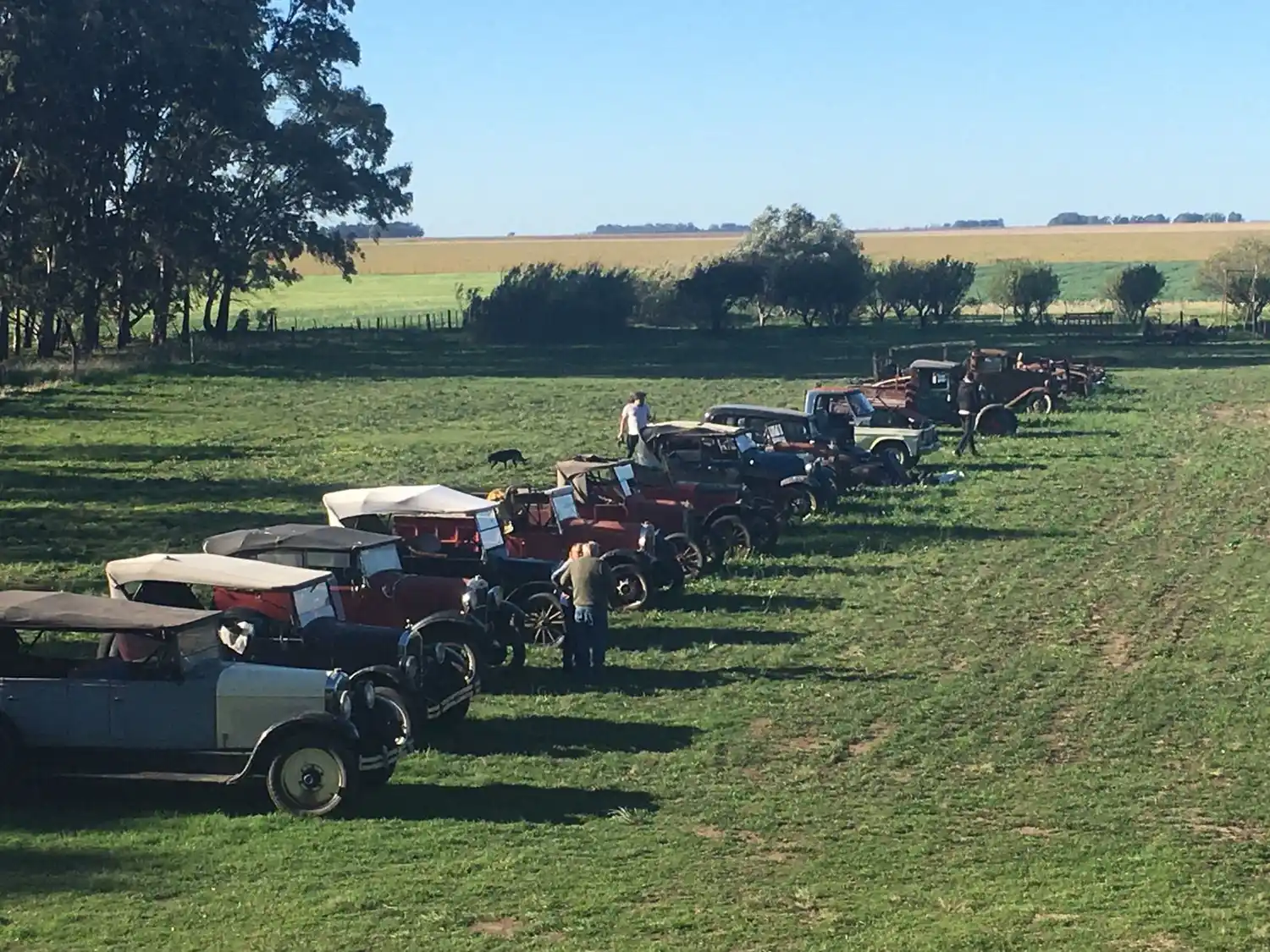 Tres Arroyos: Remataron una colección de 250 autos antiguos y así era su excéntrico dueño