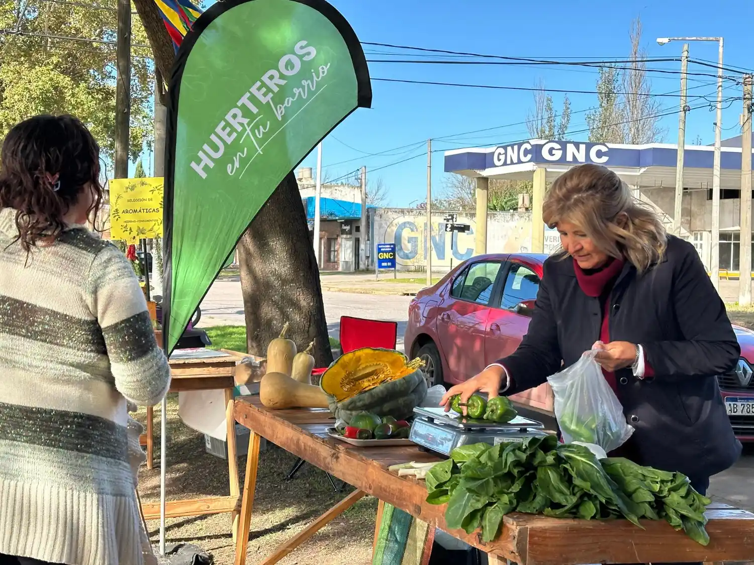 Frutas y verduras cultivadas en Venado Tuerto.