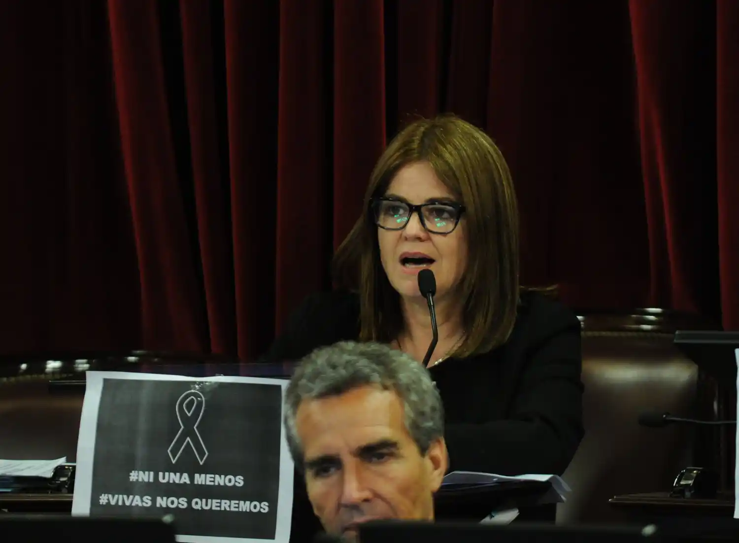 Media sanción al proyecto que suspende la probation en casos de violencia de género