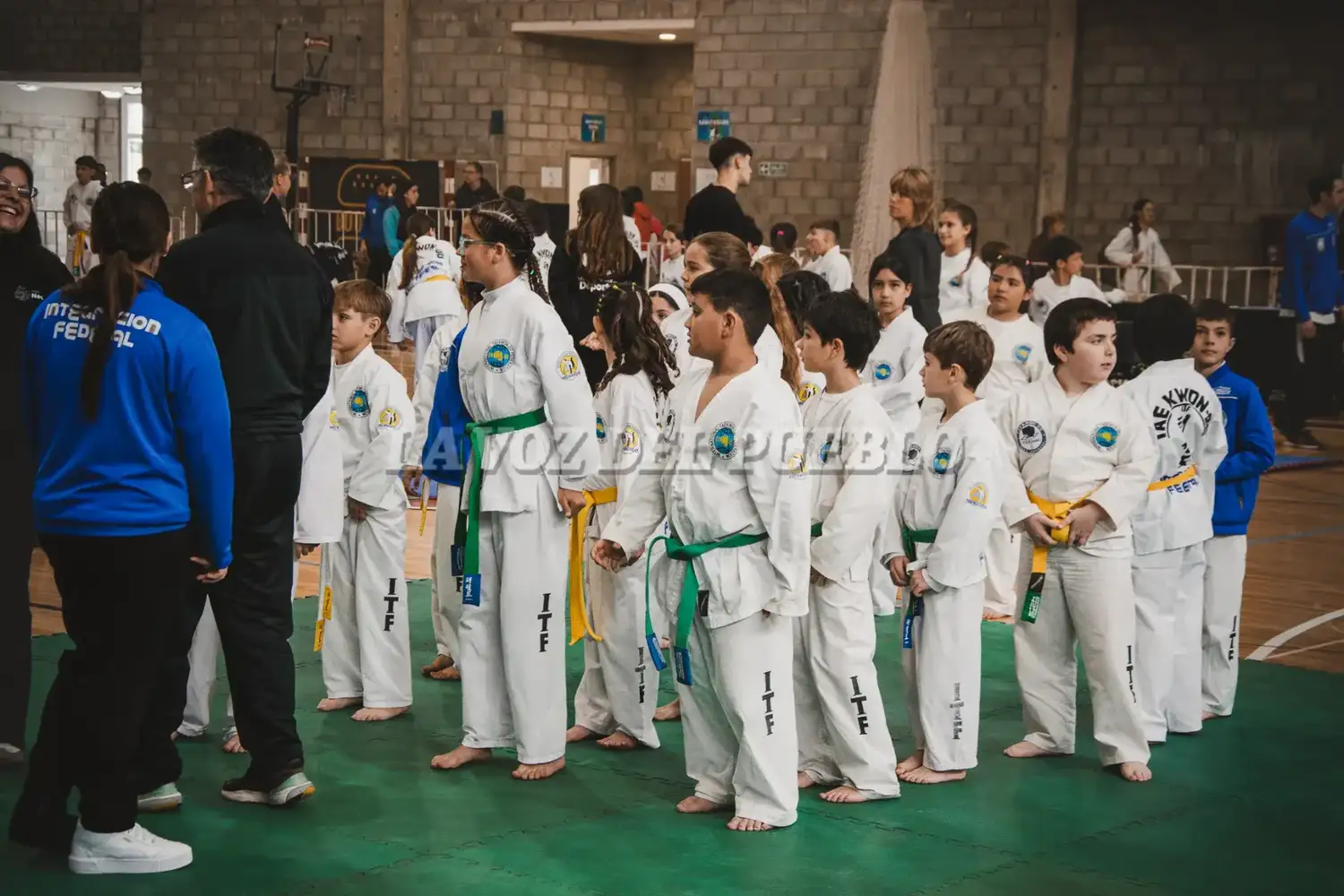 taekwondo polide - 10