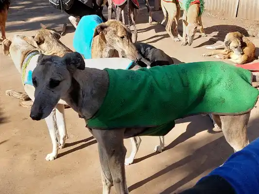 Las colaboradoras celebraron el logro en las redes sociales.