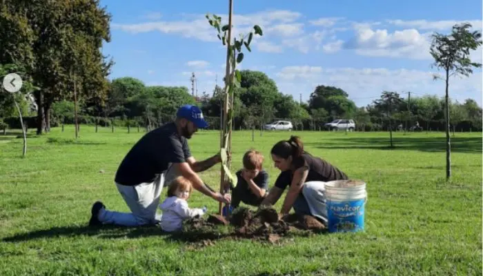 Plantación de árboles nativos en el Paseo Público, año 2022.