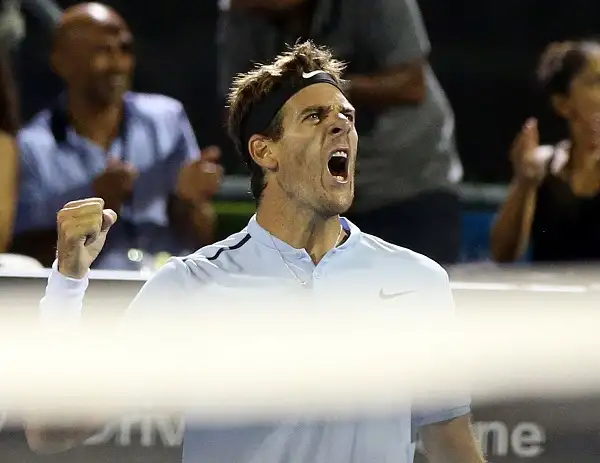 Del Potro venció a Ferrer y jugará la final del ATP 250 en Auckland