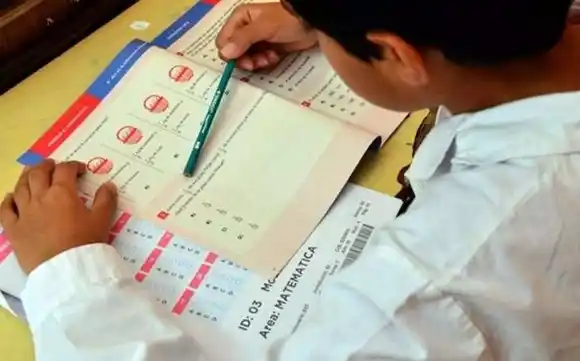 El 42,8 % de alumnos, no alcanzó un nivel básico en Matemática