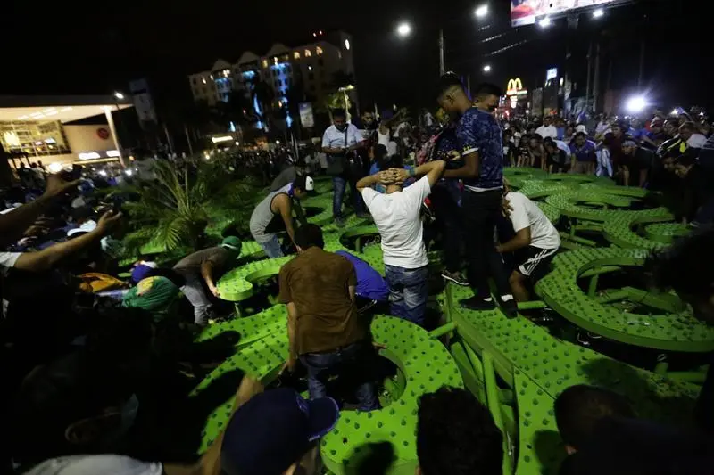 Muere un cineasta aplastado por un «árbol de la vida»
