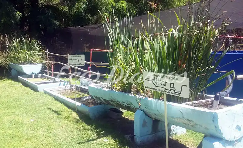 Alrededor de 500 personas visitaron la Estación de Piscicultura en Las Cascadas