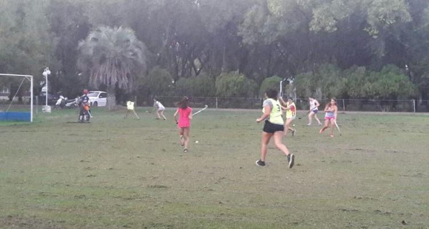 Los Andes participará en la AHO