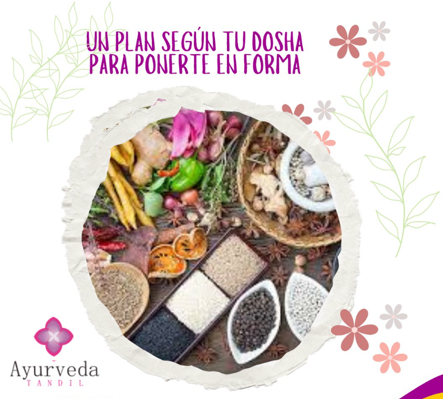 eco salud - 2