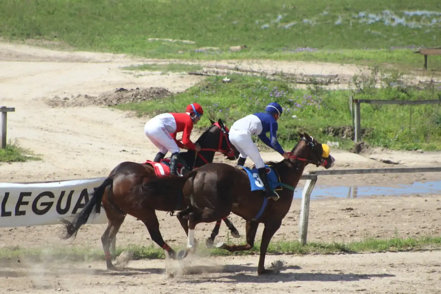 Hipódromo Gualeguay: jornada de carreras del domingo