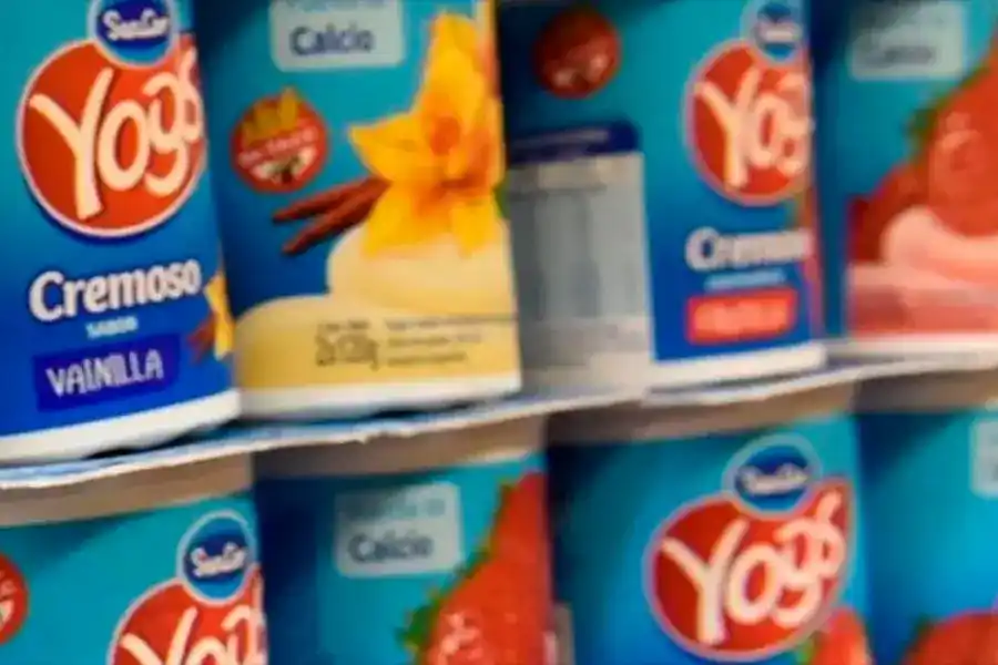 Cerró la fábrica que producía Yogs y Shimmy y cerca de 400 trabajadores quedaron sin empleo