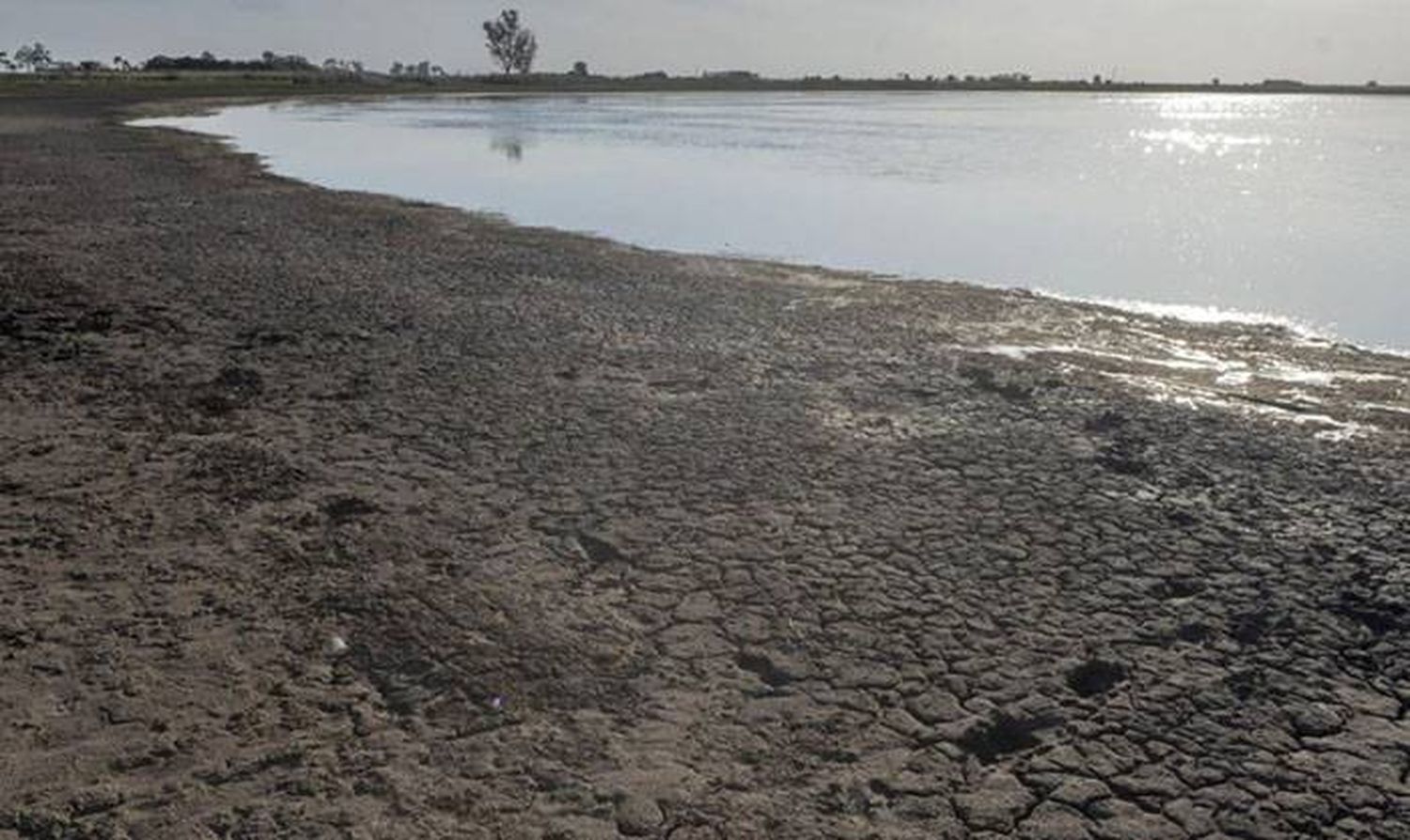 Declaran emergencia agropecuaria por sequía en Córdoba