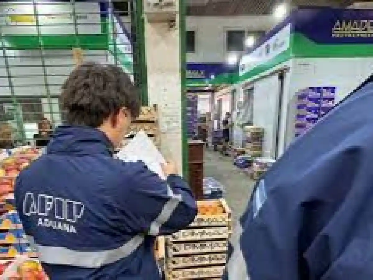Ahora: operativo de Policía Aduanera en el Mercado Central