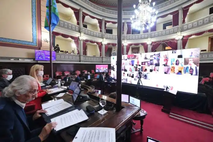 El Senado convirtió en Ley la emergencia sanitaria en los geriátricos