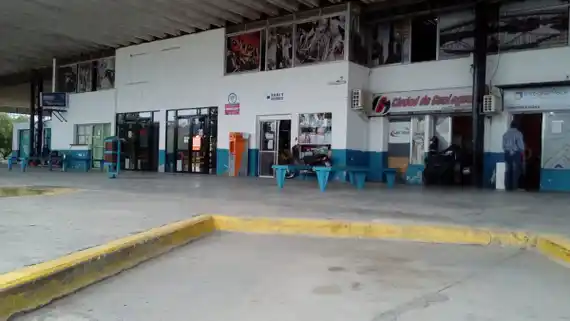 El Gobierno reglamentó la desregulación del transporte de pasajeros