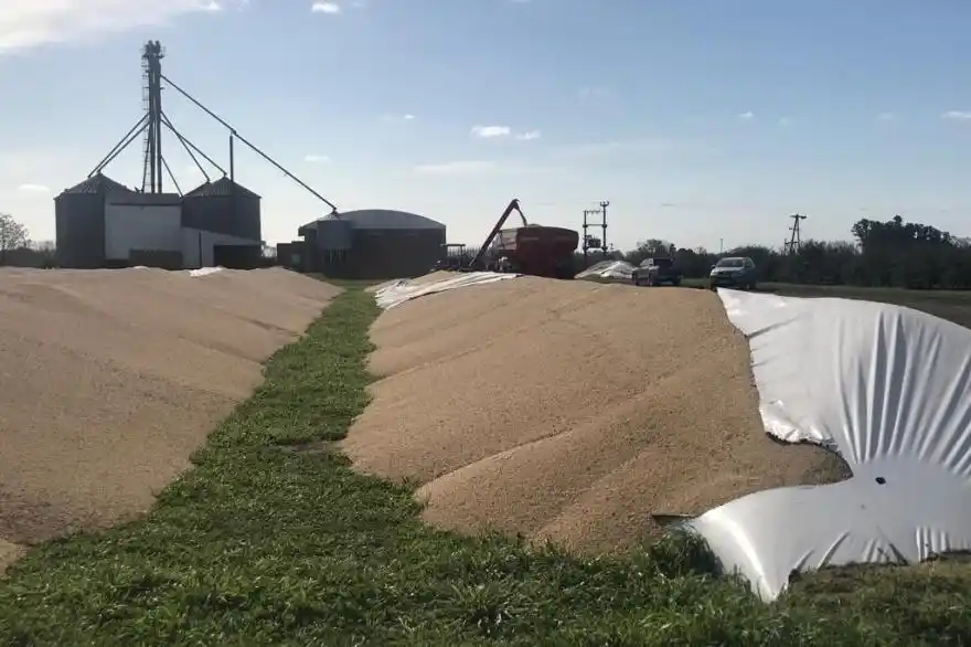 Productores agropecuarios en alerta por ola de vandalismo