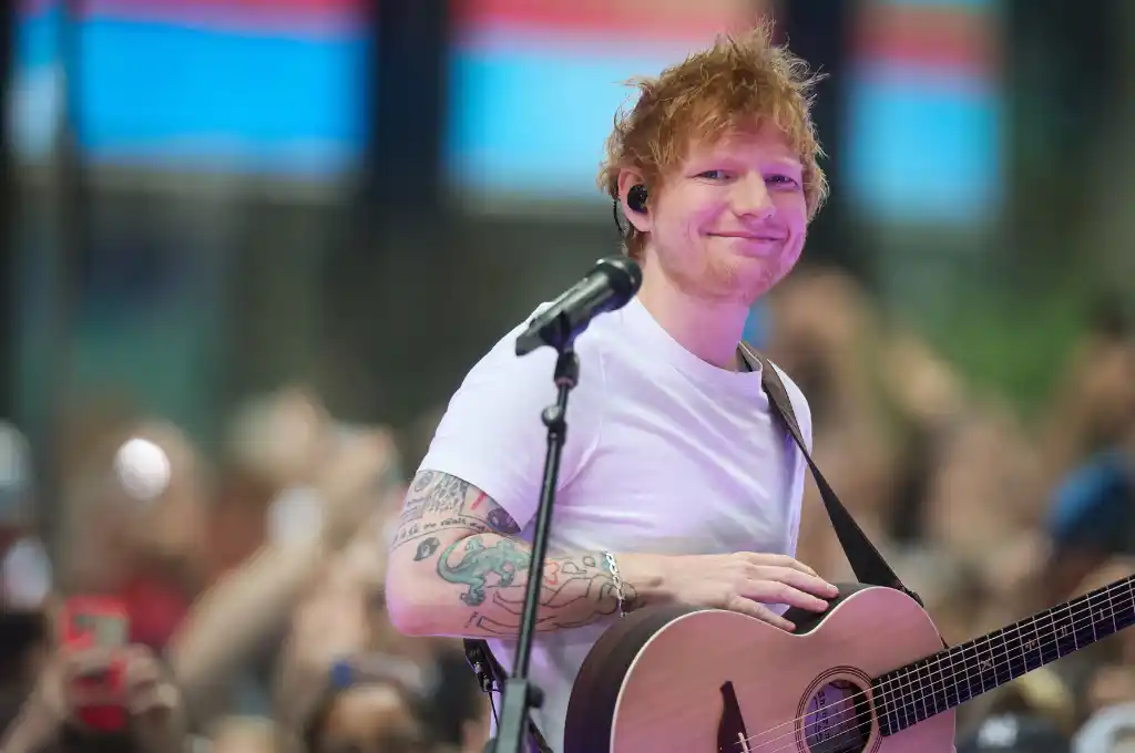 El popular cantante tiene su terreno en Framlingham, Reino Unido.