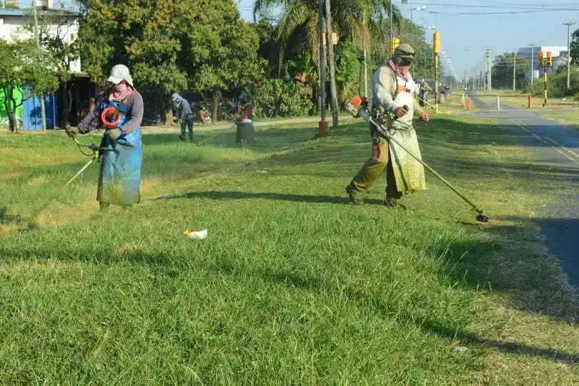 Múltiples trabajos en diferentes barrios
