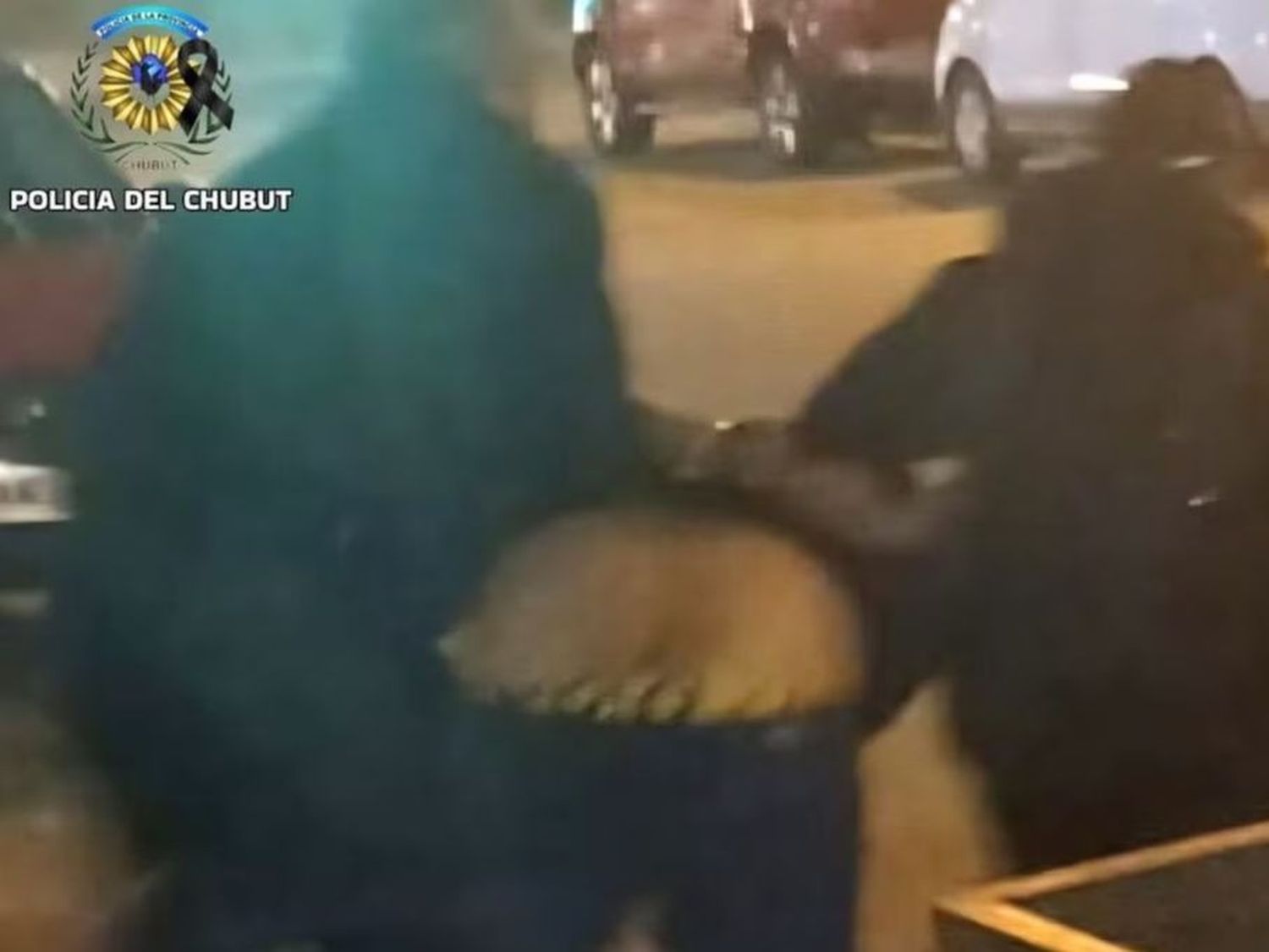 criminal viola la perimetral y golpeo a una policía 1