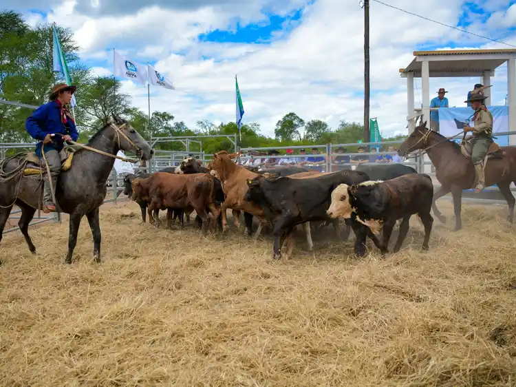 Laguna Blanca será sede de la próxima Feria Ganadera Paippera