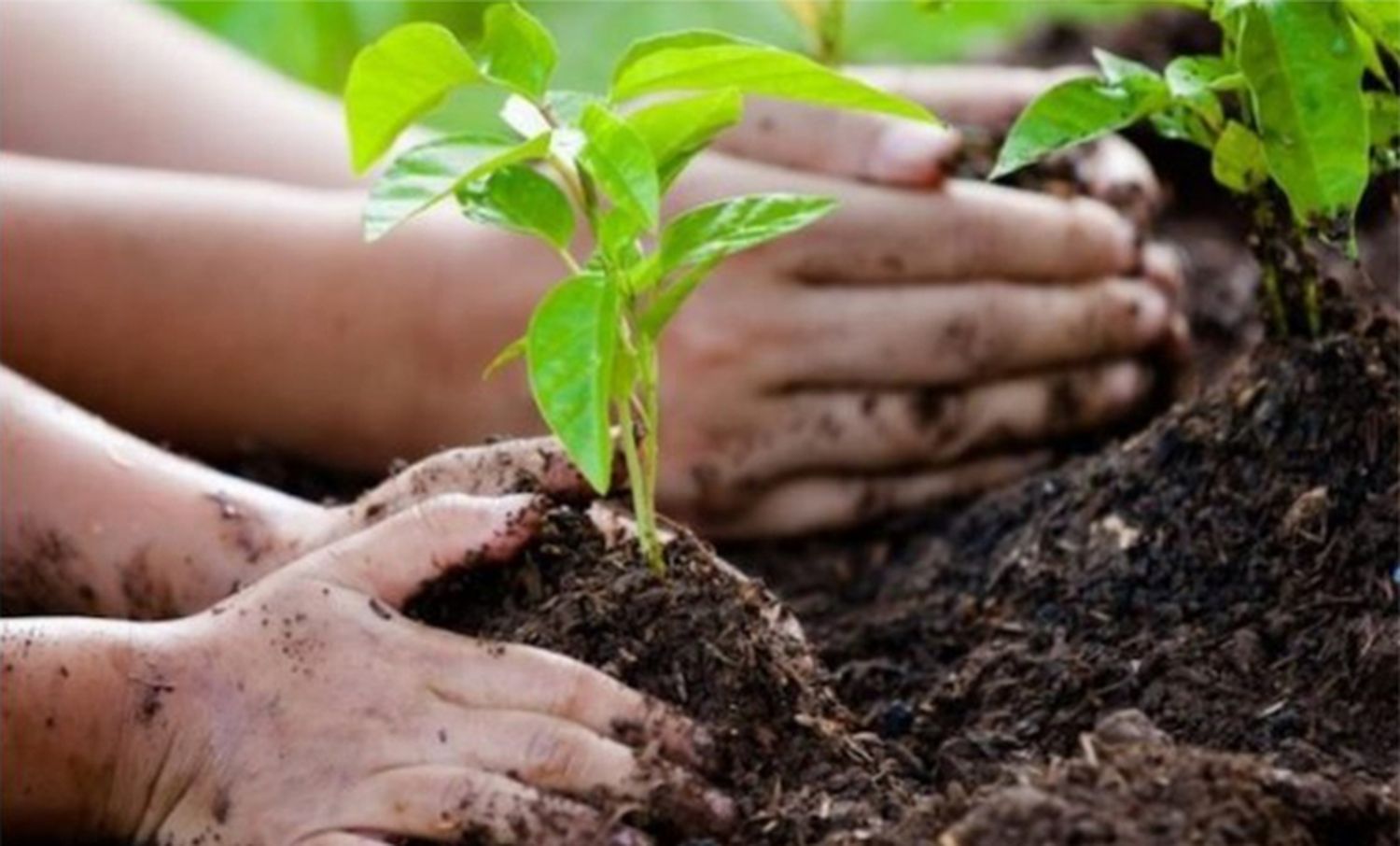 Alberto Fernández presenta la Ley de "Educación Ambiental Integral"