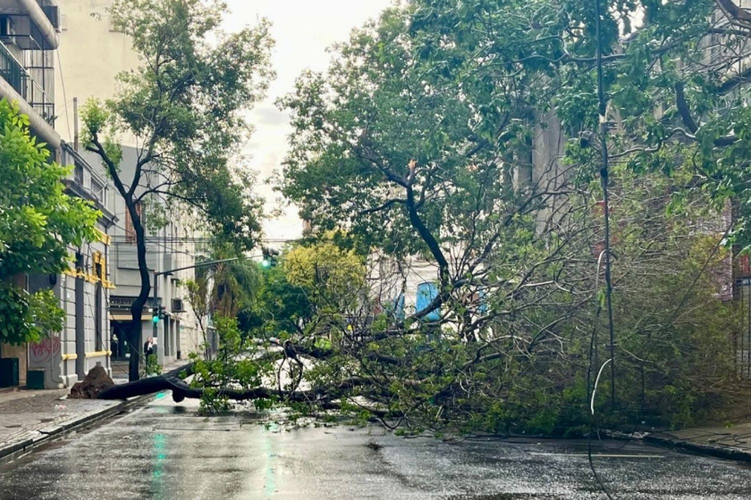 Ráfagas de hasta 110 kilómetros por hora y 85 milímetros de lluvia en Rosario: la intensa tormenta en números