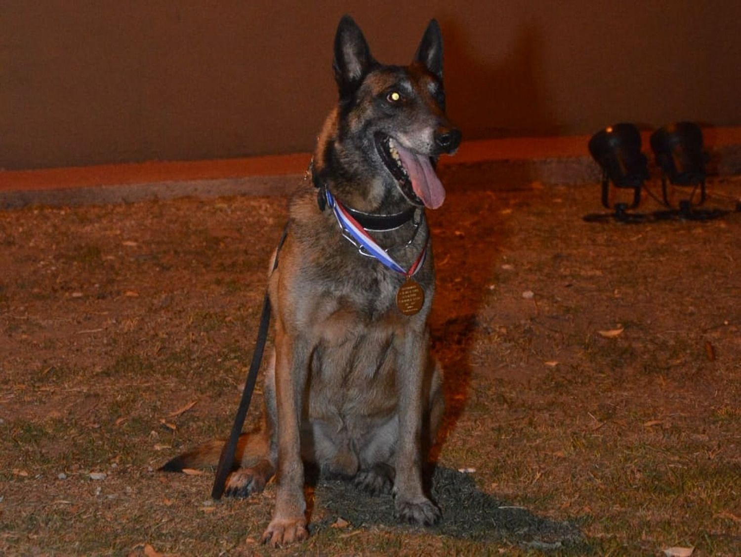 Baloo con su medalla de Honor al momento de jubilarse, tras casi 11 años de servicio. Foto: GSF