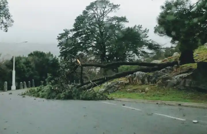 Los fuertes vientos con ráfagas causaron problemas en Tandil